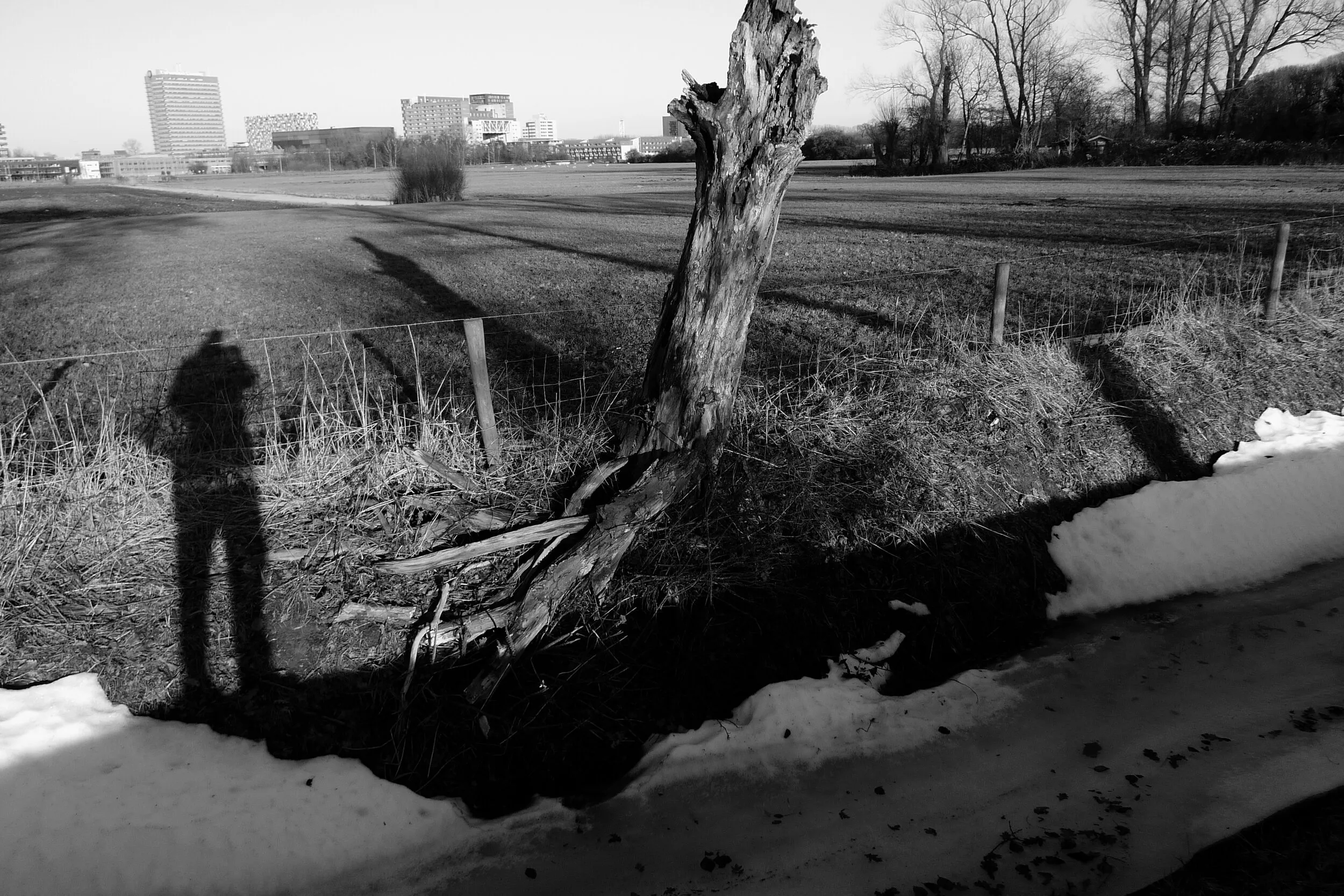 Wandelen I, foto 5