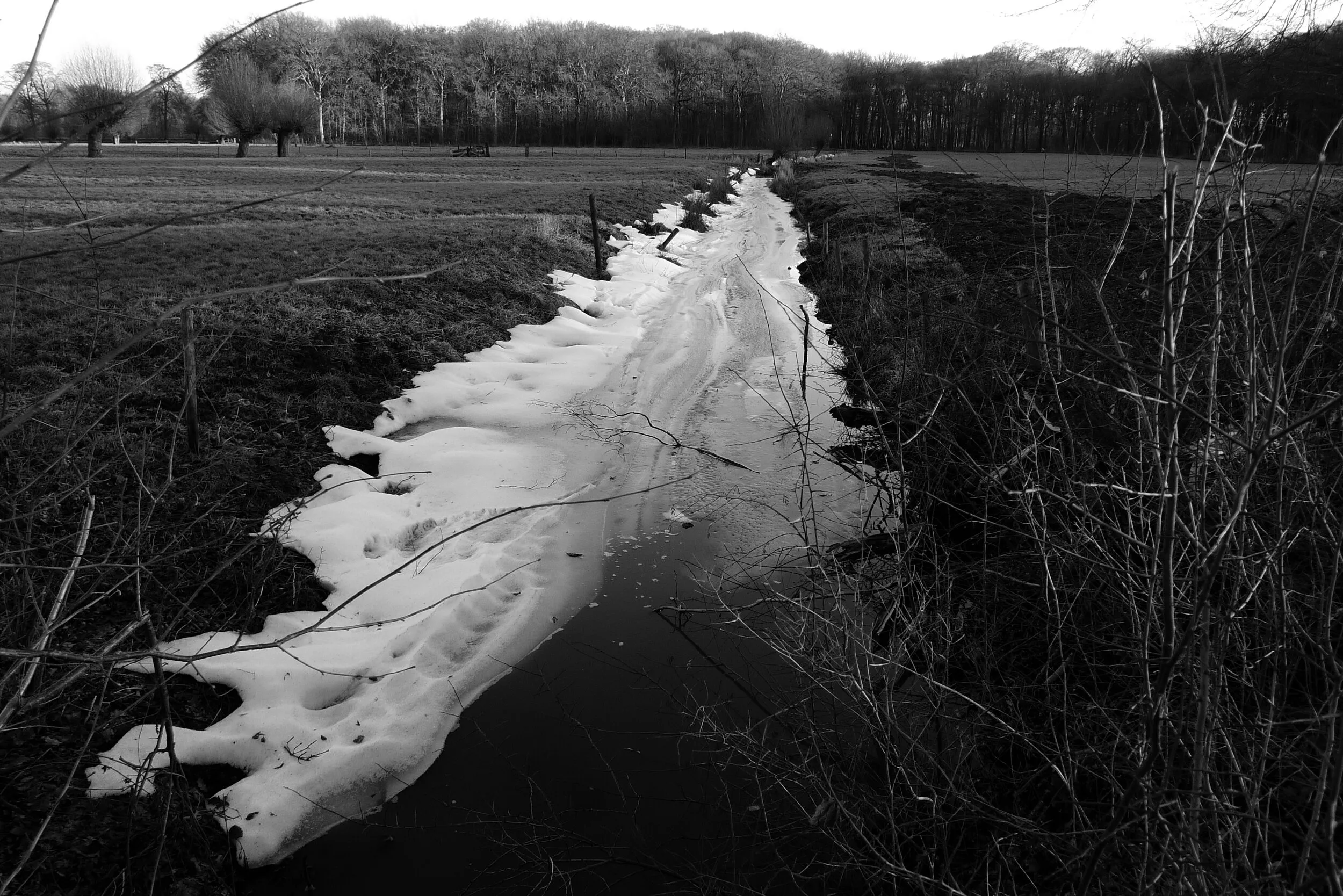 Wandelen I, foto 6