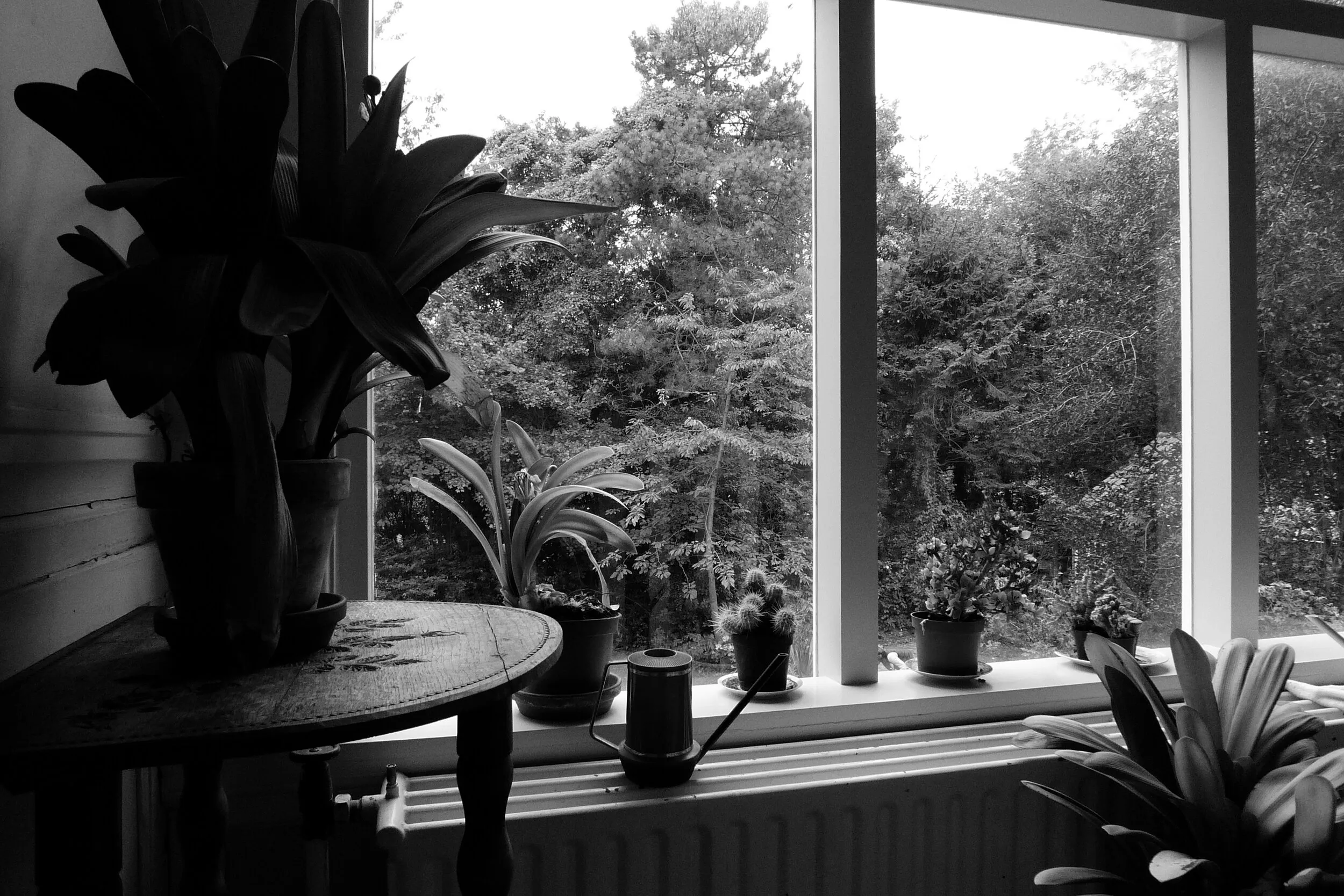 Toen, foto 2