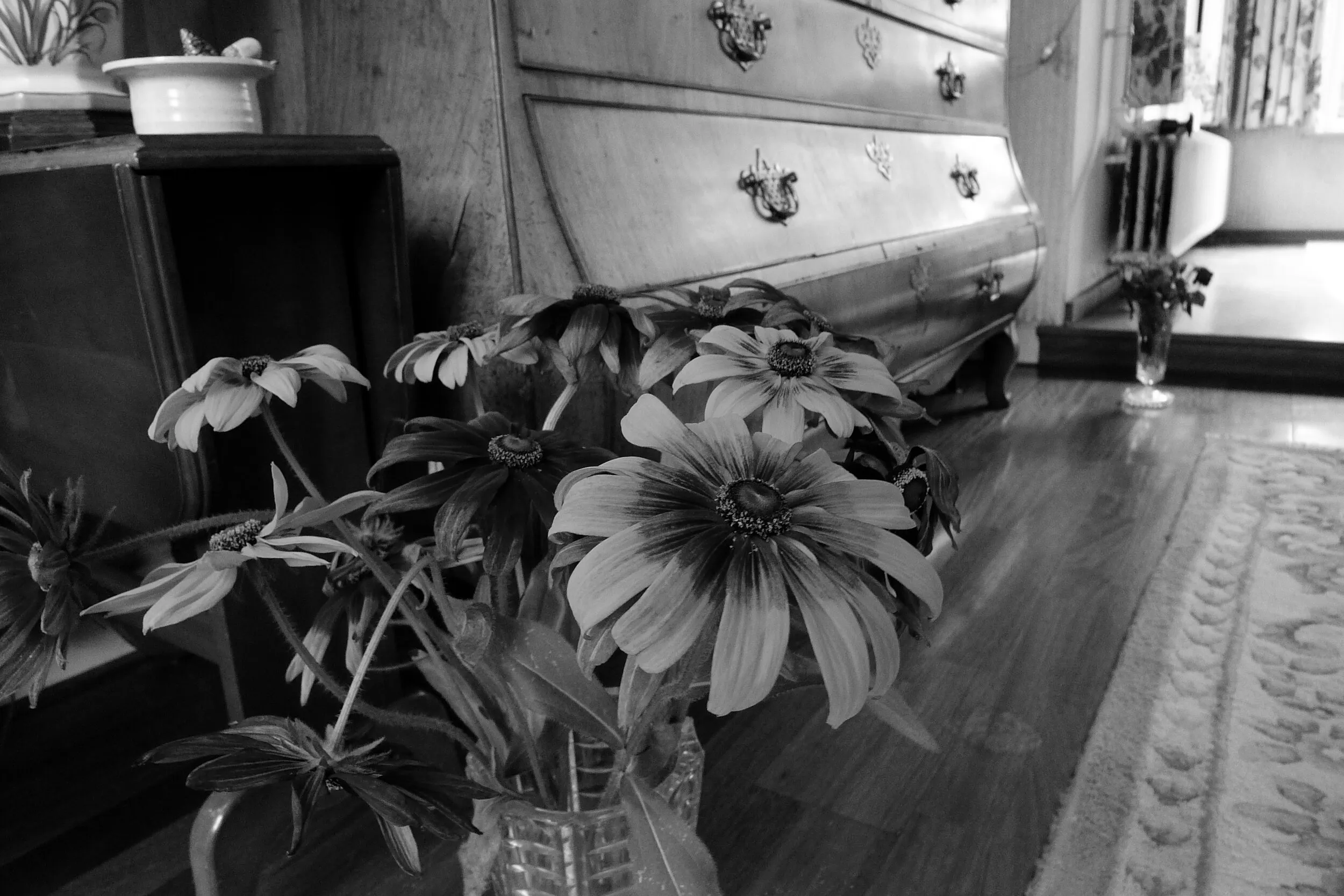 Toen, foto 8